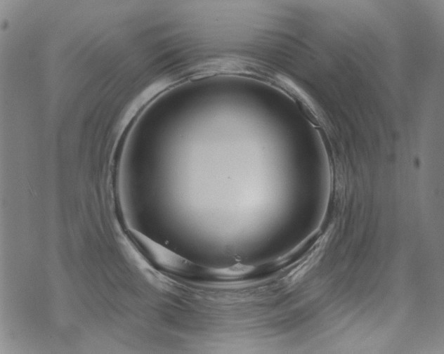 X0000072541434200607141216
