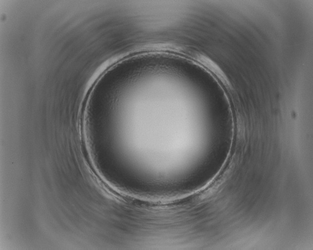 X0000072541436200607141216