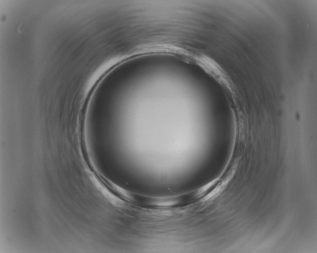 X0000072541438200607141216