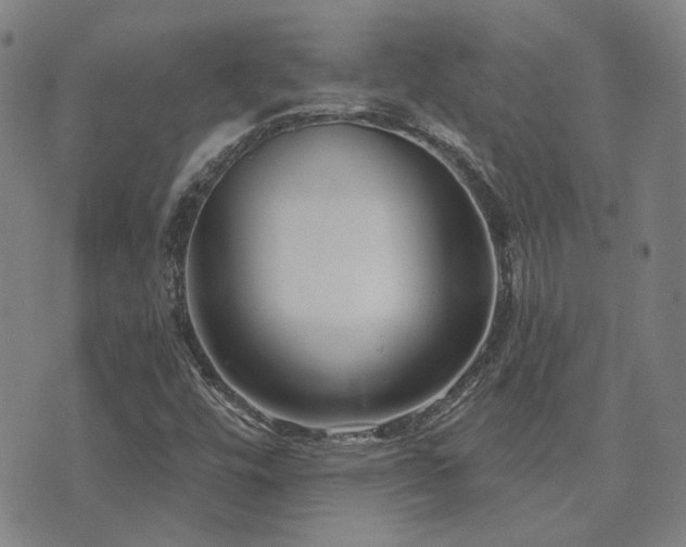 X0000072541448200607141215