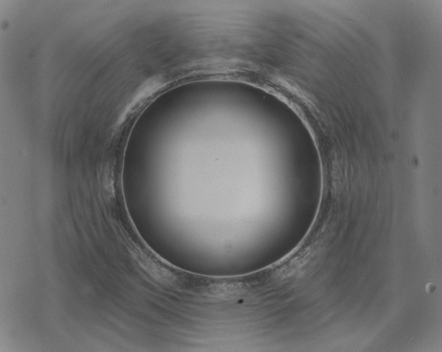 X0000072541451200607141215