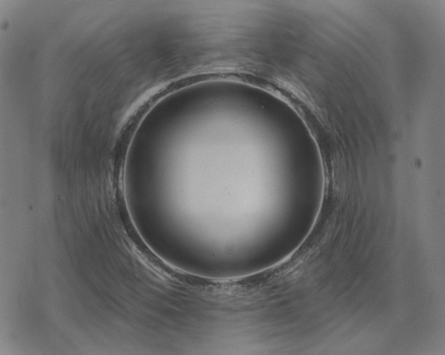 X0000072541452200607141215