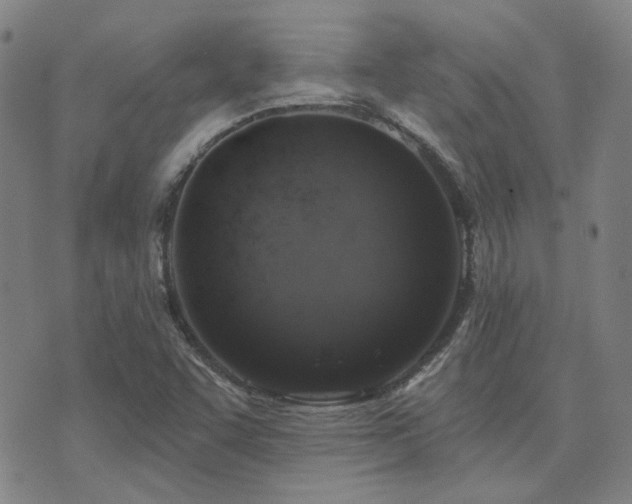 X0000072541455200607141215