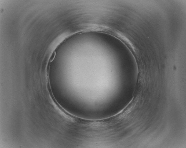 X0000072541479200607141215