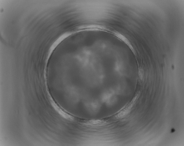 X0000072541482200607141215