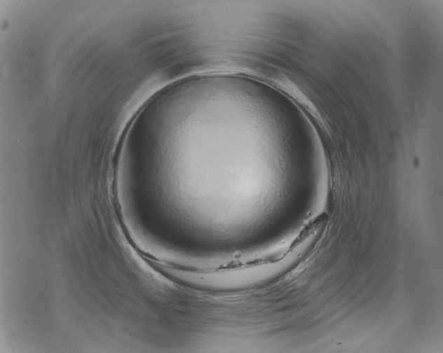 X0000072541484200607141215