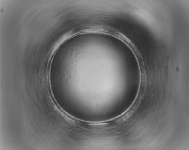X0000072541487200607141215