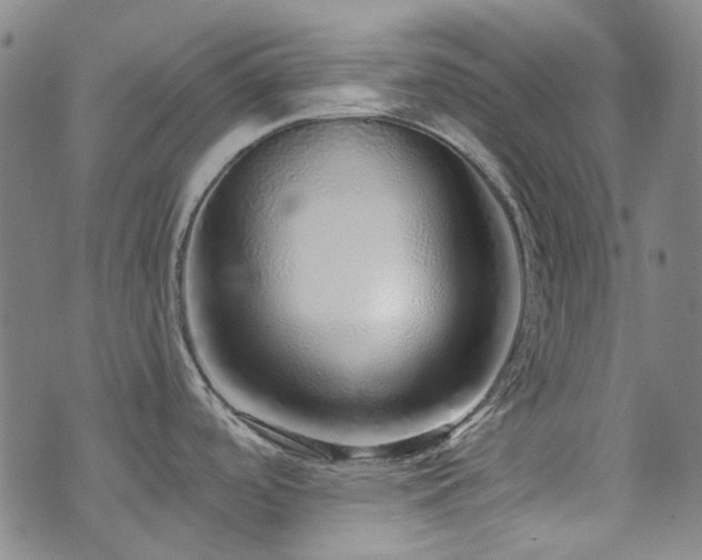 X0000072541488200607141215