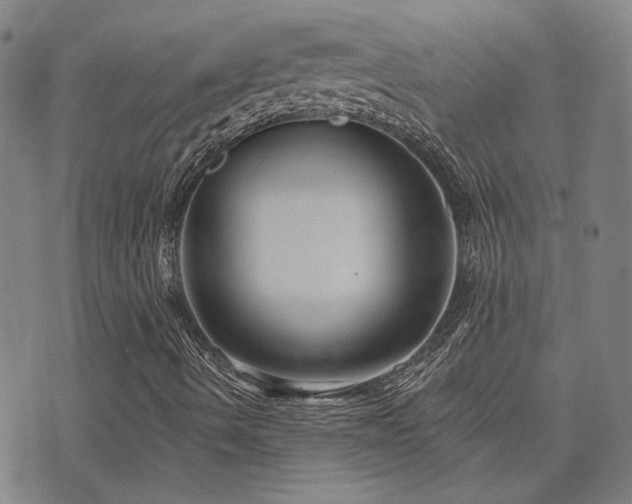 X0000072541490200607141214