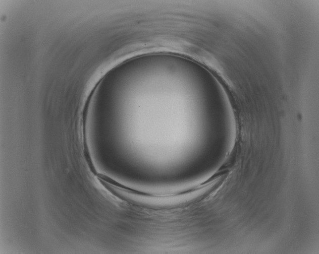X0000072541516200607141214