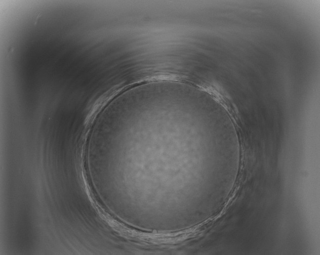 X0000072540001200607211527