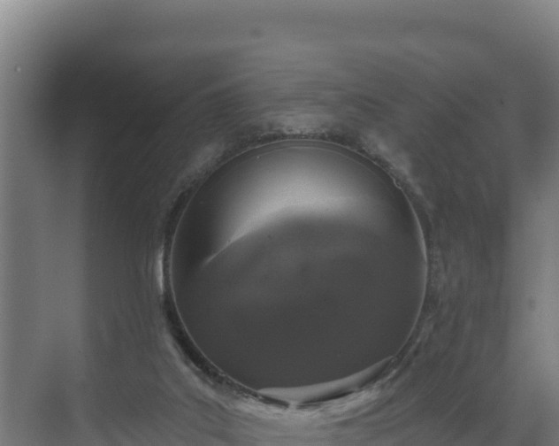 X0000072540019200607211527