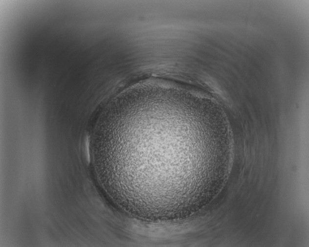 X0000072540022200607211527