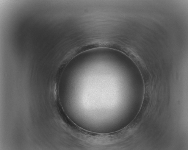 X0000072540024200607211527
