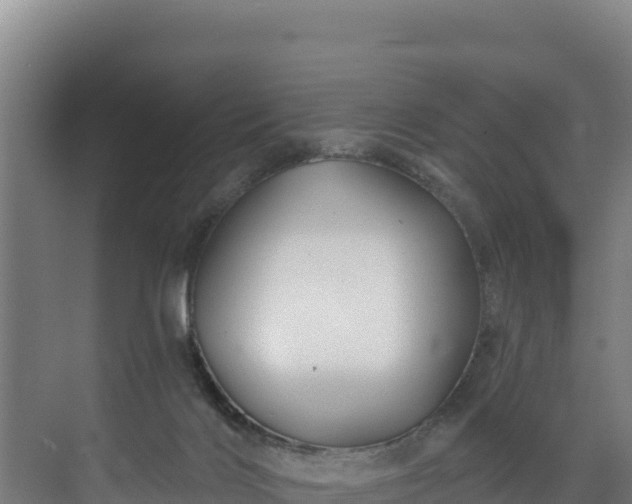 X0000072540028200607211527
