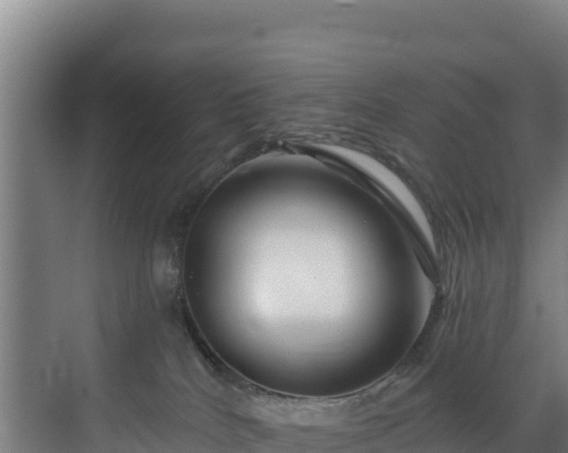 X0000072540040200607211527
