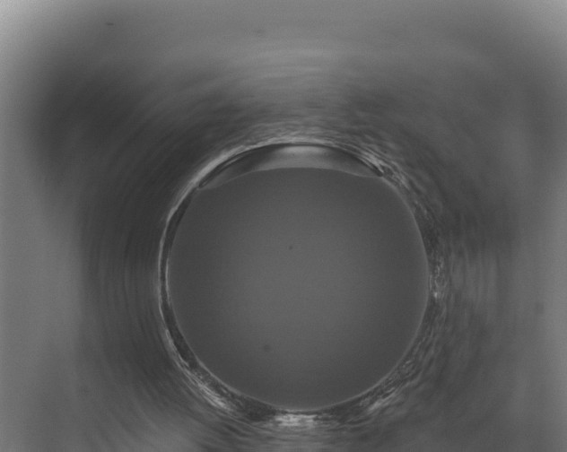 X0000072540052200607211526