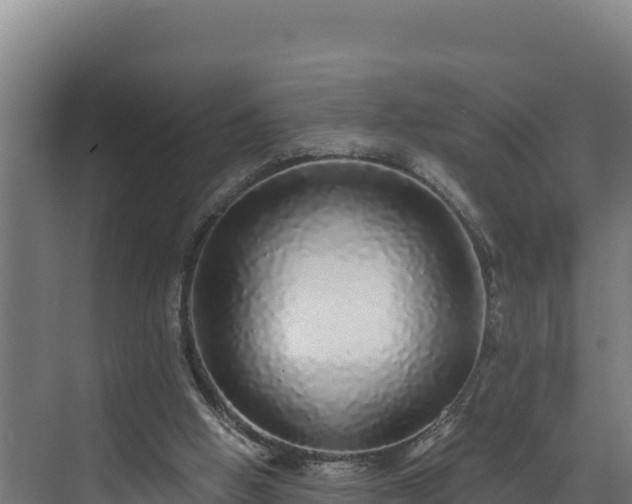 X0000072540058200607211526