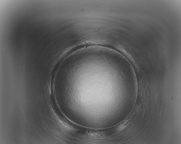 X0000072540062200607211526