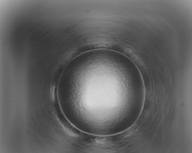 X0000072540070200607211526