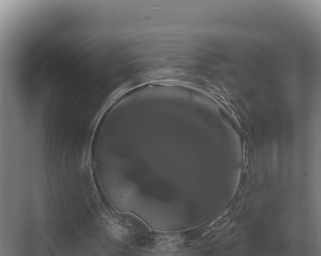 X0000072540099200607211526