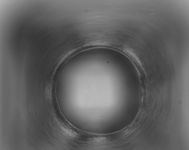 X0000072540108200607211526