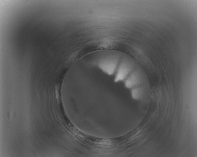 X0000072540127200607211525