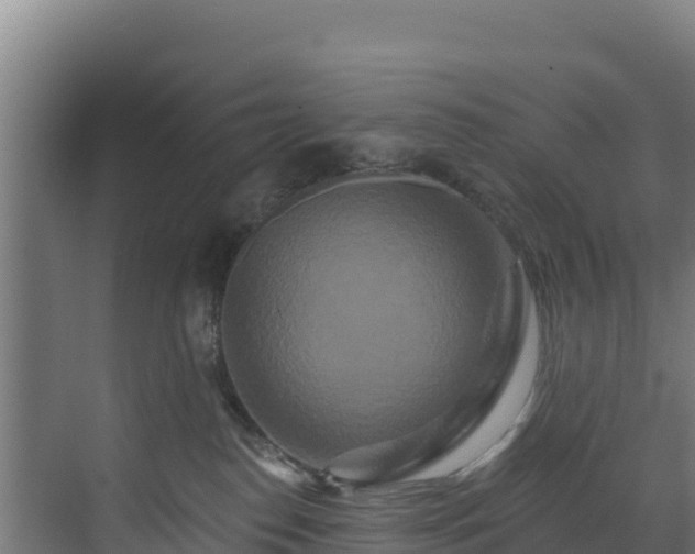 X0000072540186200607211525