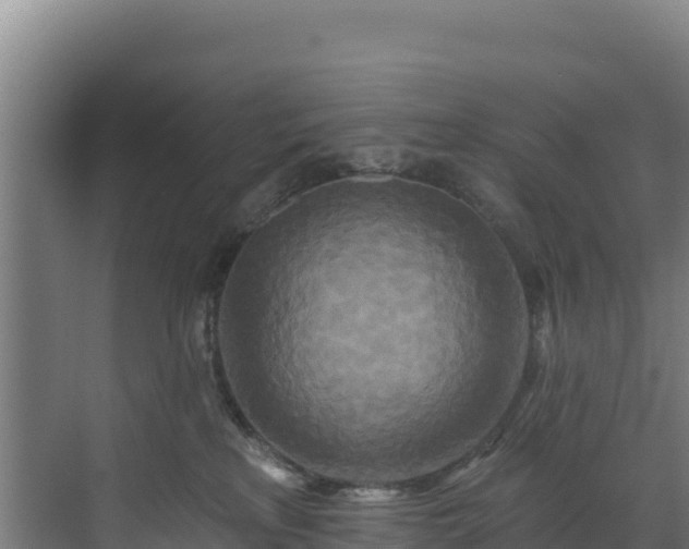 X0000072540233200607211523