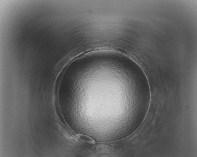 X0000072540290200607211522