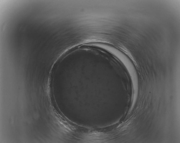 X0000072540387200607211521
