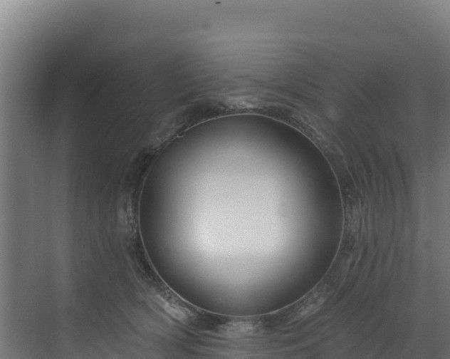 X0000072540418200607211520