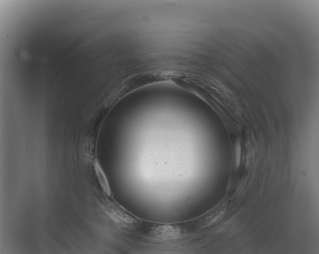 X0000072540421200607211520