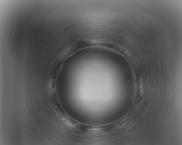 X0000072540428200607211520