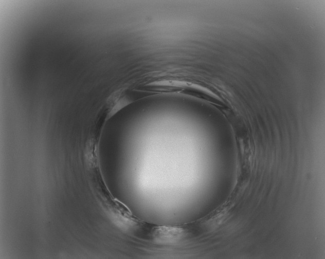 X0000072540429200607211520