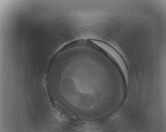 X0000072540434200607211519