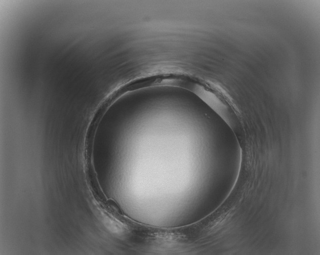 X0000072540439200607211519