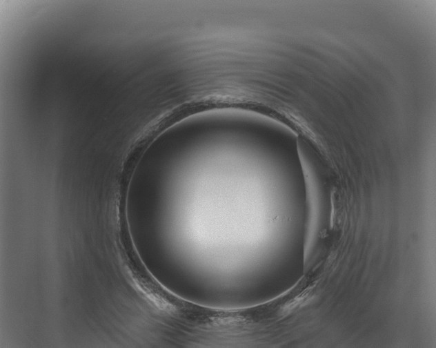 X0000072540446200607211519