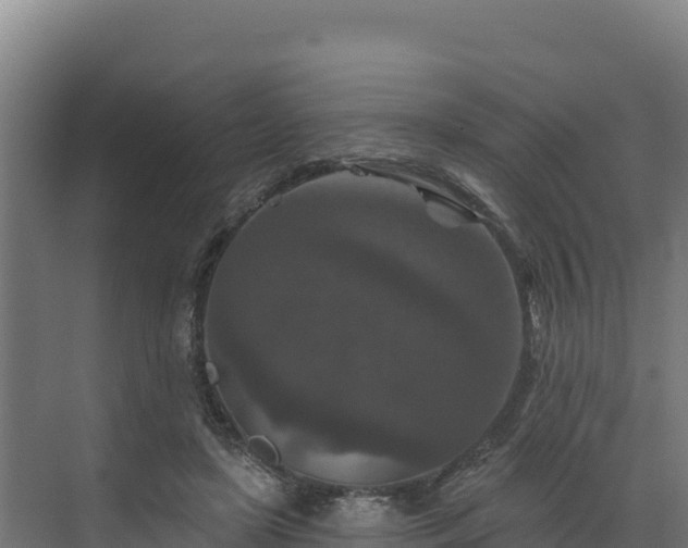 X0000072540451200607211520