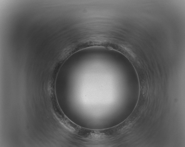 X0000072540455200607211520