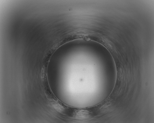 X0000072540463200607211520