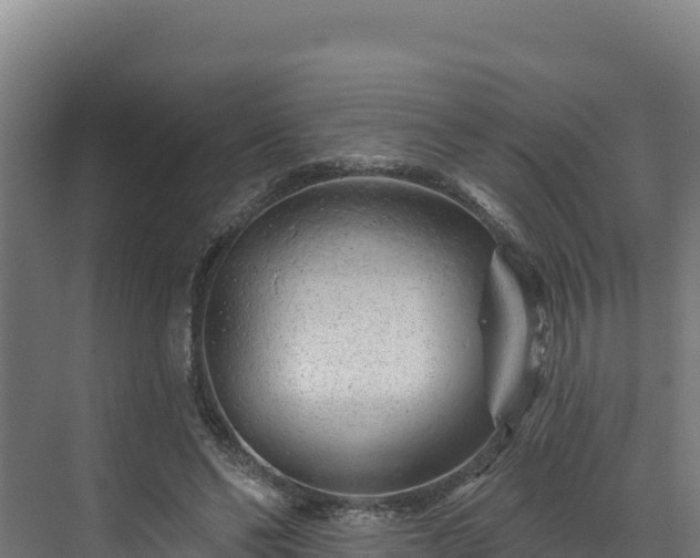 X0000072540494200607211519