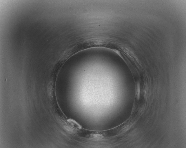 X0000072540509200607211519