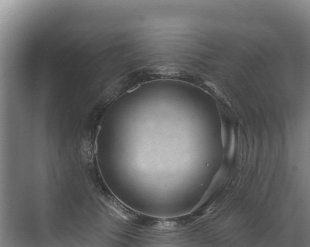 X0000072540609200607211517