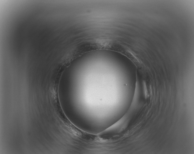 X0000072540613200607211517
