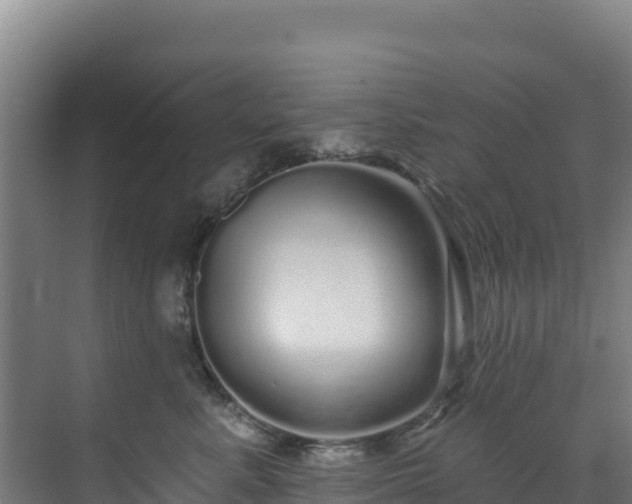X0000072540619200607211517