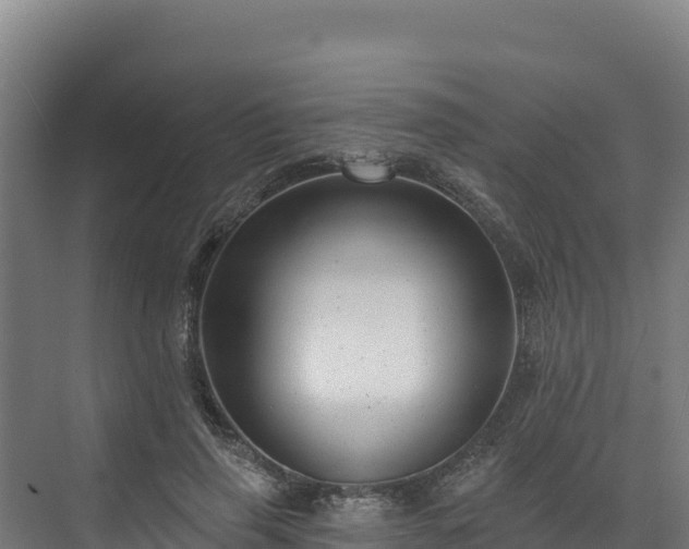 X0000072540645200607211516