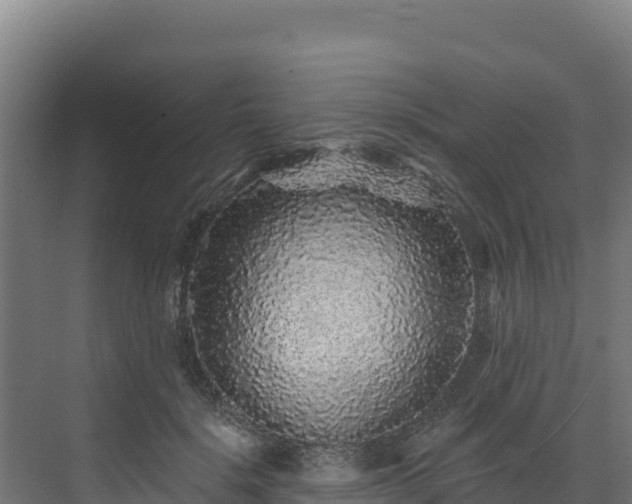 X0000072540652200607211516