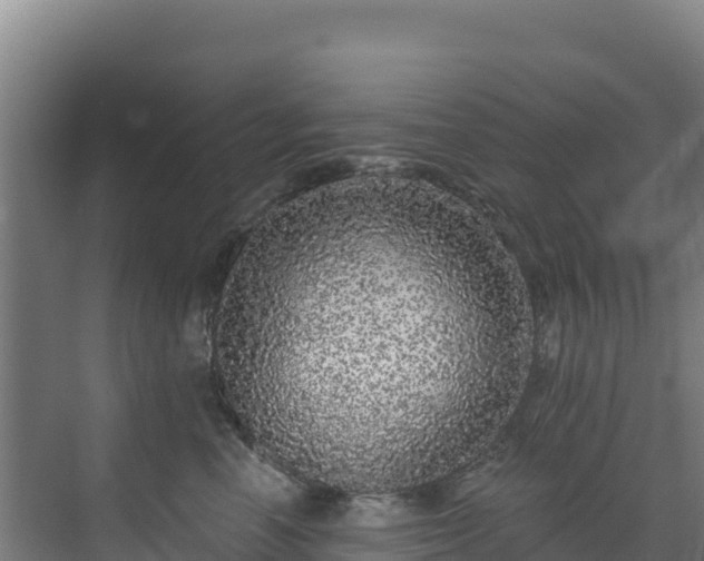 X0000072540666200607211517