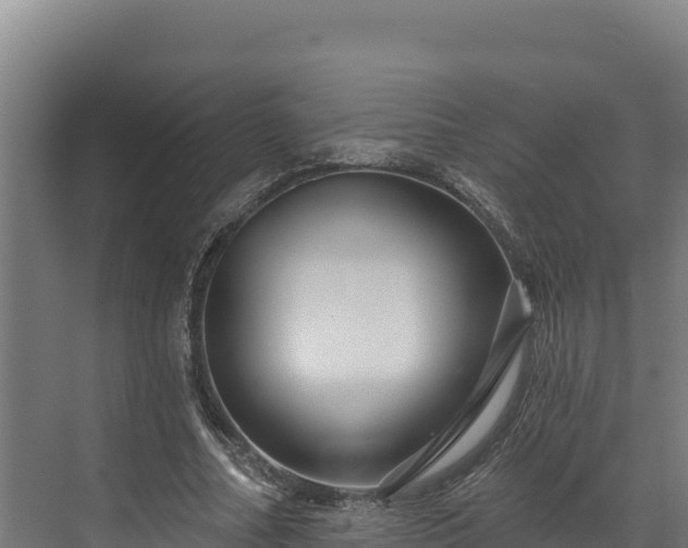 X0000072540682200607211516